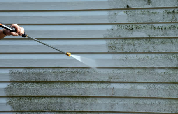 Best Affordable Pressure Washing  in Fennimore, WI