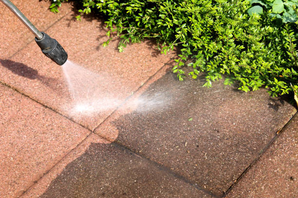 Best Exterior Home Cleaning  in Fennimore, WI